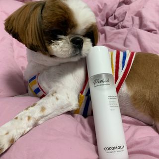 Goodbye 정전기, 코코몰리 판테놀 더마 크림 미스트 — 5점을 준 리뷰어가 2021년 1월 올린 사용 사진