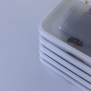 율율님이 올린 리뷰 사진 3