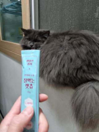 페페로니 잘 먹는 캣츄 - 원양선 참치 24개입 — 5점을 준 리뷰어가 2021년 10월 올린 사용 사진