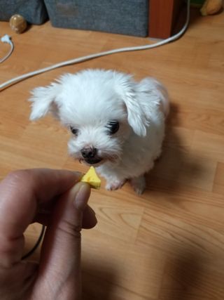 세유니님이 올린 리뷰 사진 1