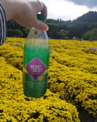 몽베스트 Montbest with Sparkling water Lemon OR Lime 20병(랜덤) — 5점을 준 리뷰어가 2021년 10월 올린 사용 사진