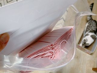 에어에이드 컬러 덴탈 마스크 — 5점을 준 리뷰어가 2021년 8월 올린 사용 사진