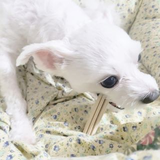 KimHyojin님이 올린 리뷰 사진 3
