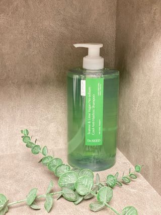 닥터시드 티트리 앤 라임 비건 지성케어 쿨 탈모 샴푸 (1000ml) — 5점을 준 리뷰어가 2023년 12월 올린 사용 사진