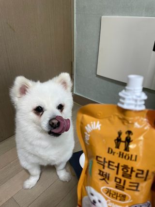 엠마J님이 올린 리뷰 사진 2