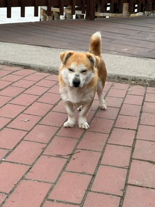 날로언니님이 올린 리뷰 사진 3