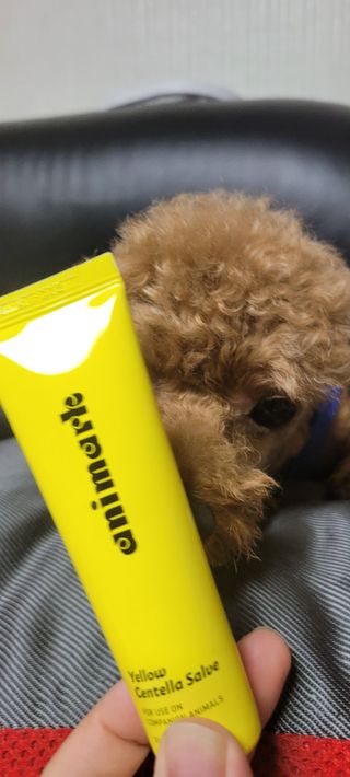 란다김님이 올린 리뷰 사진 2