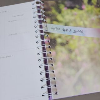 글라라5205님이 올린 리뷰 사진 4