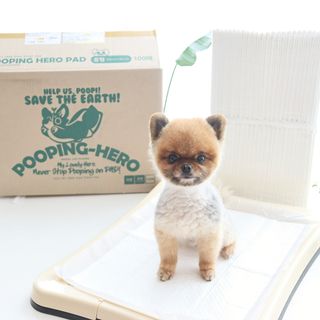 사슴꽃눈물님이 올린 리뷰 사진 1