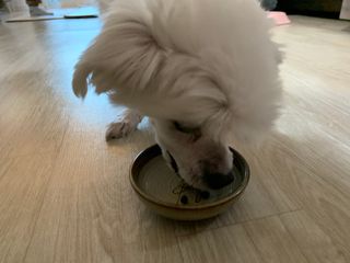 ZiunYang님이 올린 리뷰 사진 2