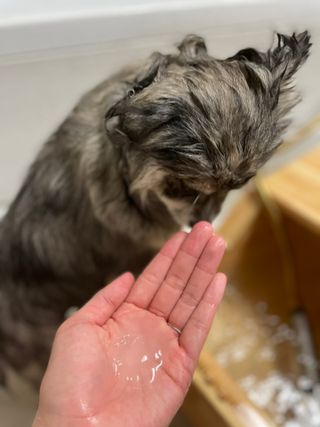 찌니님이 올린 리뷰 사진 3