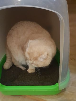 펭하하하님이 올린 리뷰 사진 3