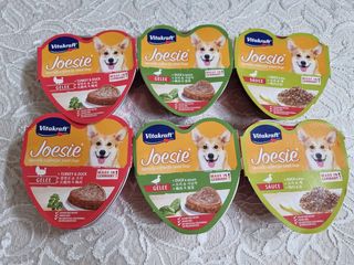 비타크래프트 조에시 하트캔 85g 강아지 습식캔 10캔 — 5점을 준 리뷰어가 2021년 7월 올린 사용 사진
