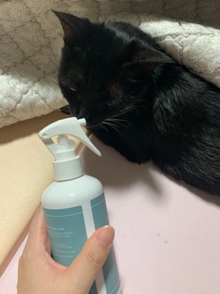 도다자매님이 올린 리뷰 사진 3