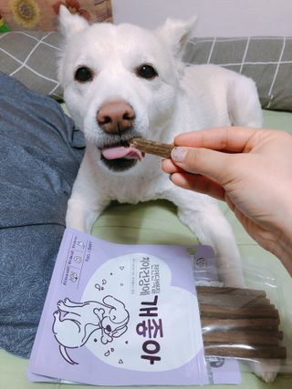 My Pet Care 천연단백질 치아건강에 개좋아 — 5점을 준 리뷰어가 2021년 2월 올린 사용 사진