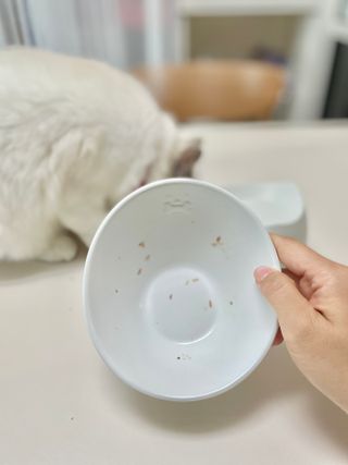 비타크래프트 고양이 수프 50g 3가지맛 x4팩씩 총 12팩 — 5점을 준 리뷰어가 2021년 8월 올린 사용 사진