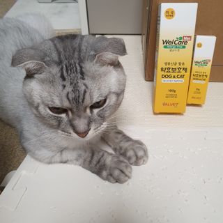 에디터보나님이 올린 리뷰 사진 2