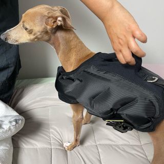 JeonEunju님이 올린 리뷰 사진 1
