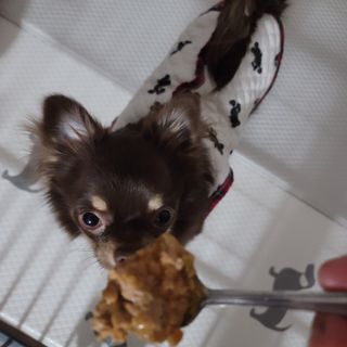 나초단맘님이 올린 리뷰 사진 1