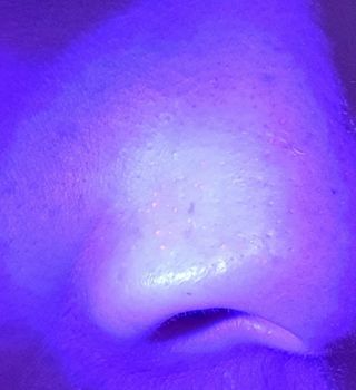 김윤영님이 올린 리뷰 사진 2