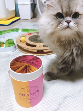 꼬끼오님이 올린 리뷰 사진 1