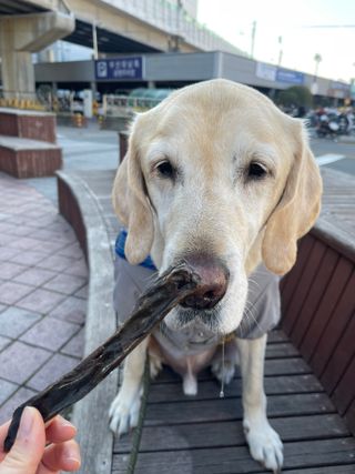 두치뿌꾸빵빵님이 올린 리뷰 사진 3