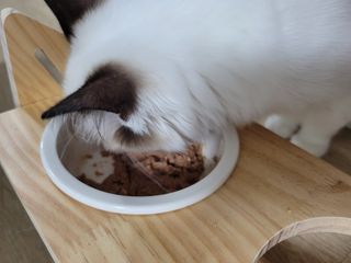 third29님이 올린 리뷰 사진 1