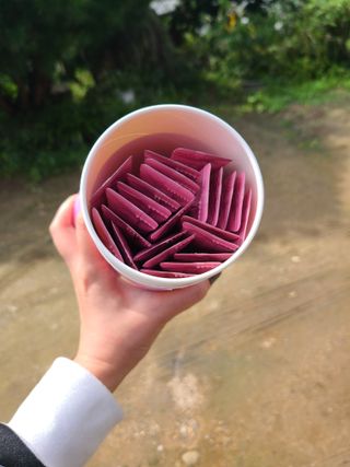 페페로니 잘 먹는 캣츄 - 알래스카 연어 24개입 — 5점을 준 리뷰어가 2021년 9월 올린 사용 사진