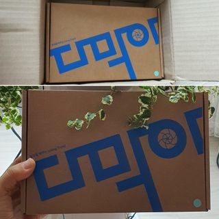 하수구 마스크 다막아 3종세트 (싱크대용1EA, 욕실용2EA) — 4점을 준 리뷰어가 2022년 8월 올린 사용 사진