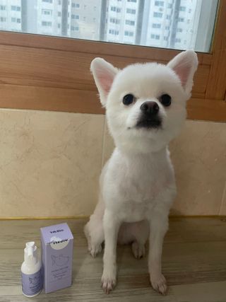 콩이예요님이 올린 리뷰 사진 1