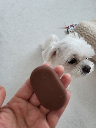 뽀오오옹님이 올린 리뷰 사진 2