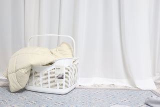 신향님이 올린 리뷰 사진 2