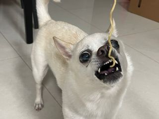 띵가띵가님이 올린 리뷰 사진 2
