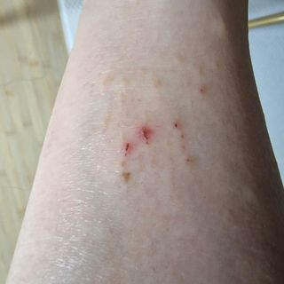 미니재니맘님이 올린 리뷰 사진 2