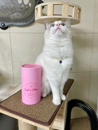 ccoyo님이 올린 리뷰 사진 1