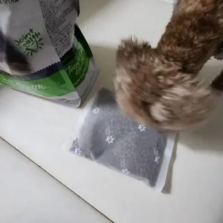 사랑해안시영님이 올린 리뷰 사진 4