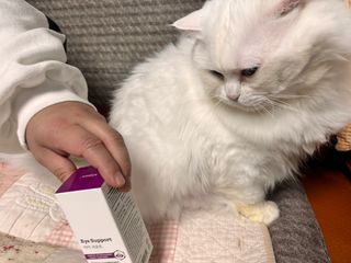 젤공주님이 올린 리뷰 사진 4