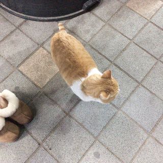 백설님이 올린 리뷰 사진 4