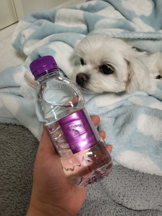 몽베스트 [MONTBEST] 330mL 20병 — 5점을 준 리뷰어가 2021년 10월 올린 사용 사진