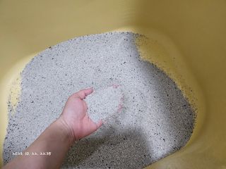 윤이님이 올린 리뷰 사진 3