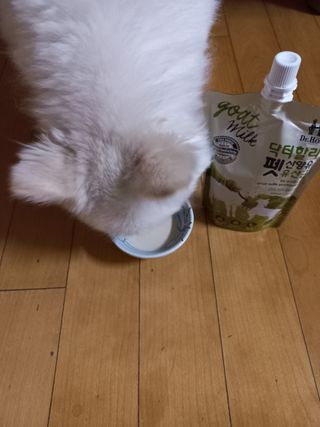희야님이 올린 리뷰 사진 3