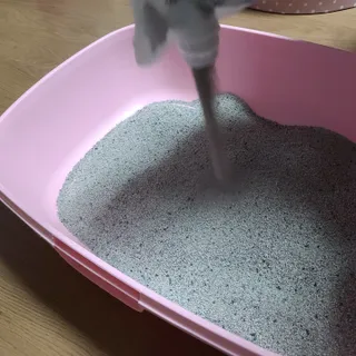 루잉루잉님이 올린 리뷰 사진 2