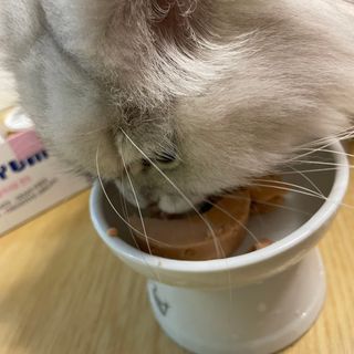 지혜정님이 올린 리뷰 사진 2