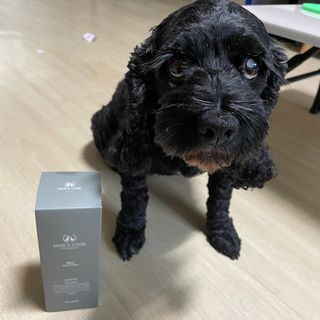 마리앤루이펫샴푸 [mari and louie pet shampoo] — 5점을 준 리뷰어가 2021년 7월 올린 사용 사진