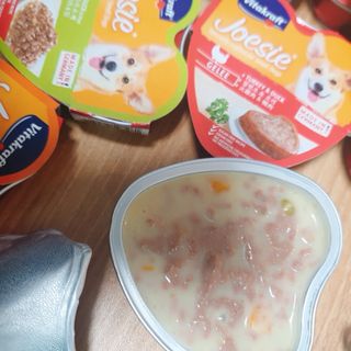비타크래프트 조에시 하트캔 85g 강아지 습식캔 10캔 — 5점을 준 리뷰어가 2021년 7월 올린 사용 사진