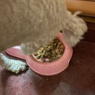 송이님이 올린 리뷰 사진 3