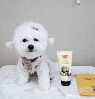 비니주니맘 :D님이 올린 리뷰 사진 1