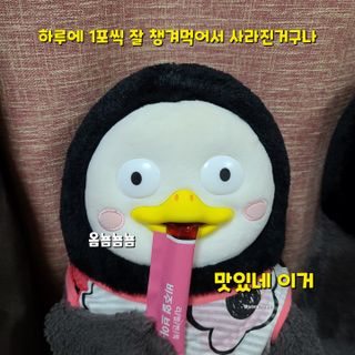 필리브 비주얼 브이스틱 — 5점을 준 리뷰어가 2021년 6월 올린 사용 사진