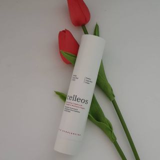 BlossomY님이 올린 리뷰 사진 1