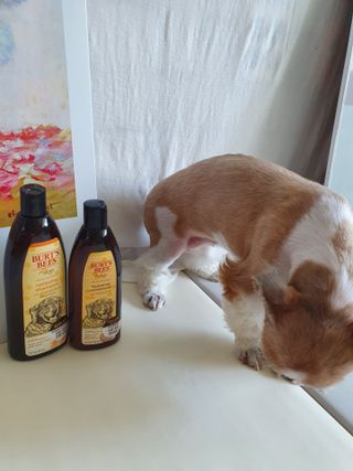 기룡이님이 올린 리뷰 사진 1